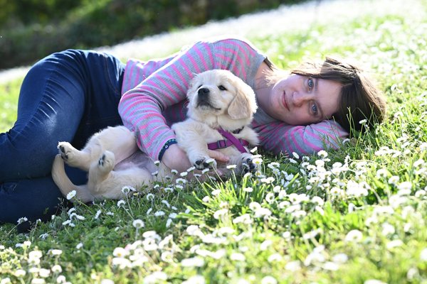 Le rôle de la clicker training dans le dressage des chats